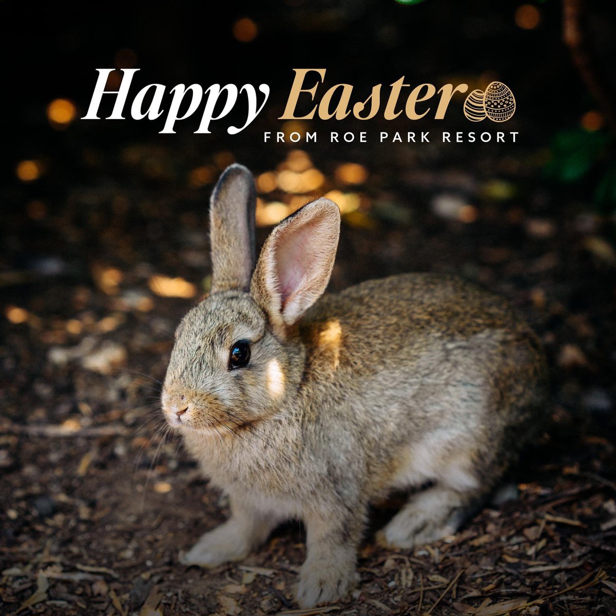 Easter Wishes 🐰🐣 Wishing all our customers a Happy Easter!