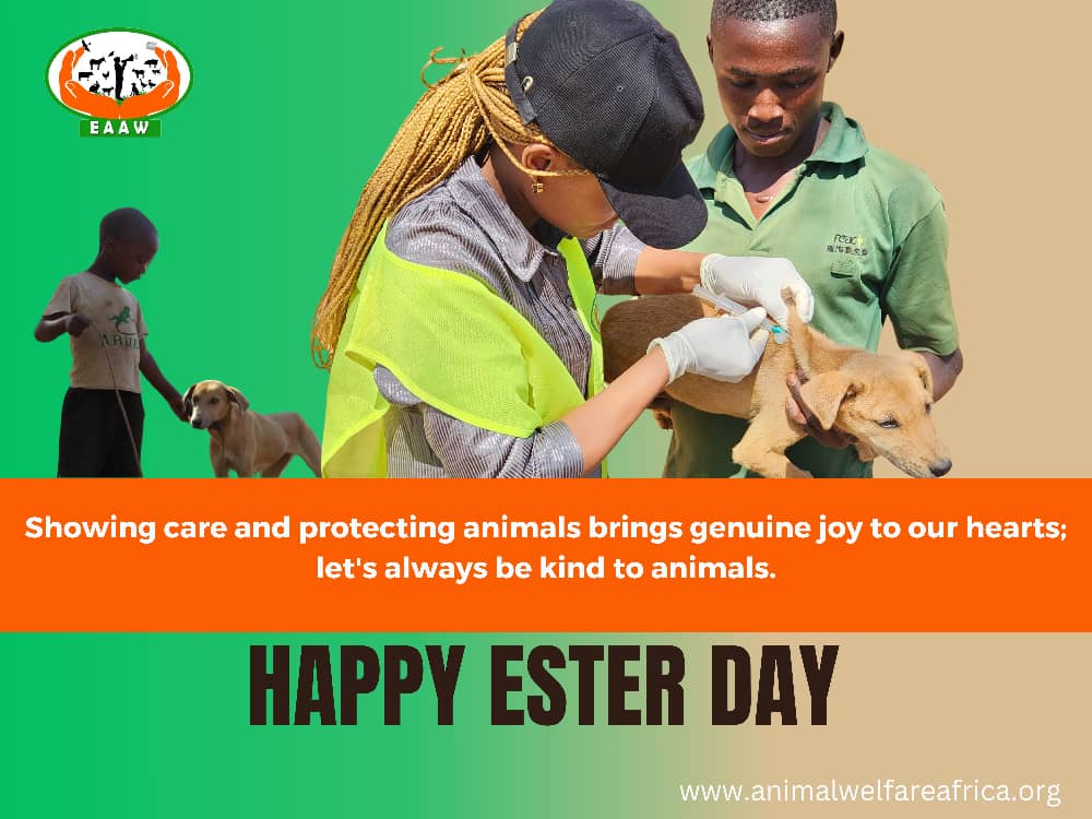 msemakweli1's tweet photo. We love, and we care for animal and human https://t.co/dE1b8S2HxT