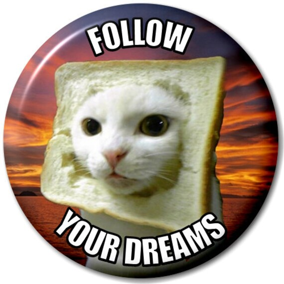 SolanaCatBread's tweet photo. My dream is more CatBread for all humans around the world https://t.co/o2BCCn21qe