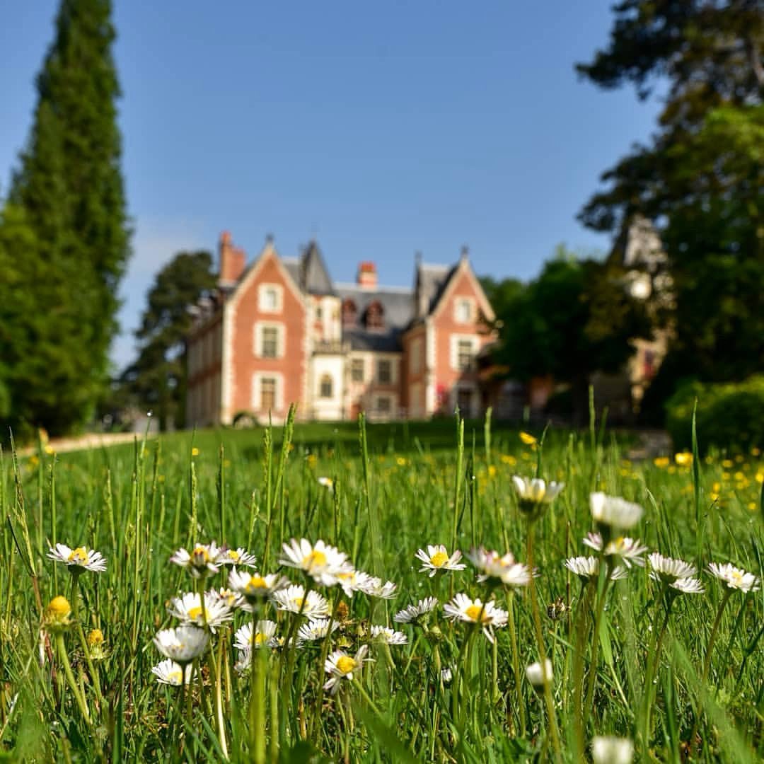 Bon dimanche de #Pâques à tous 💐🐣 Nous vous souhaitons un week-end des plus gourmands et chocolatés ! ➖ 📸 © tom_aero5 ➖ #HappyEaster #Easter #JoyeusesPâques #ClosLucé #Amboise #ValdeLoire #touraine