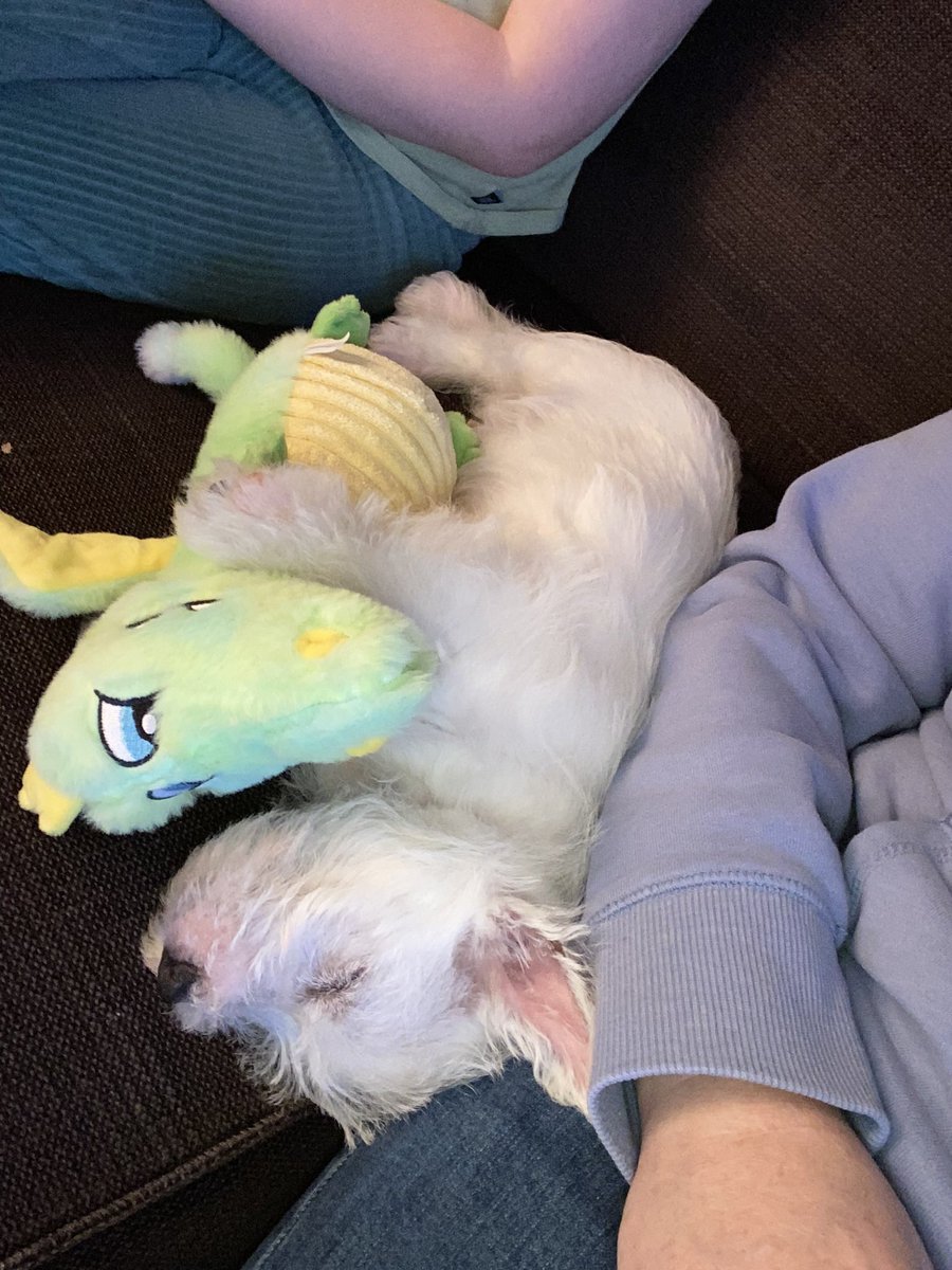 SPSMrsK's tweet photo. Happy Easter!! https://t.co/soJwTLfqeg