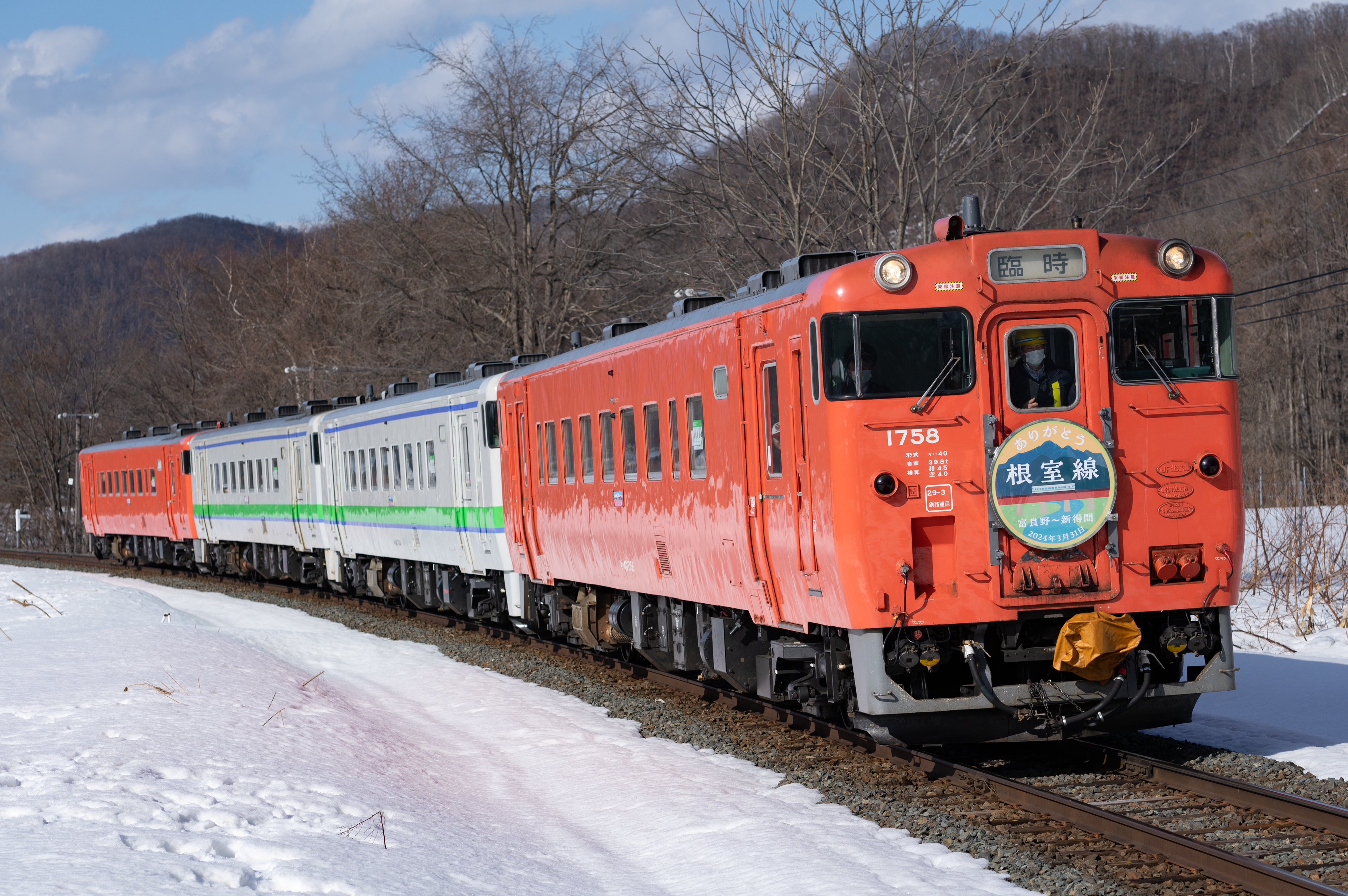 朽木盆 朽木盆【B】 - ANTIQUE belle WEB SHOP