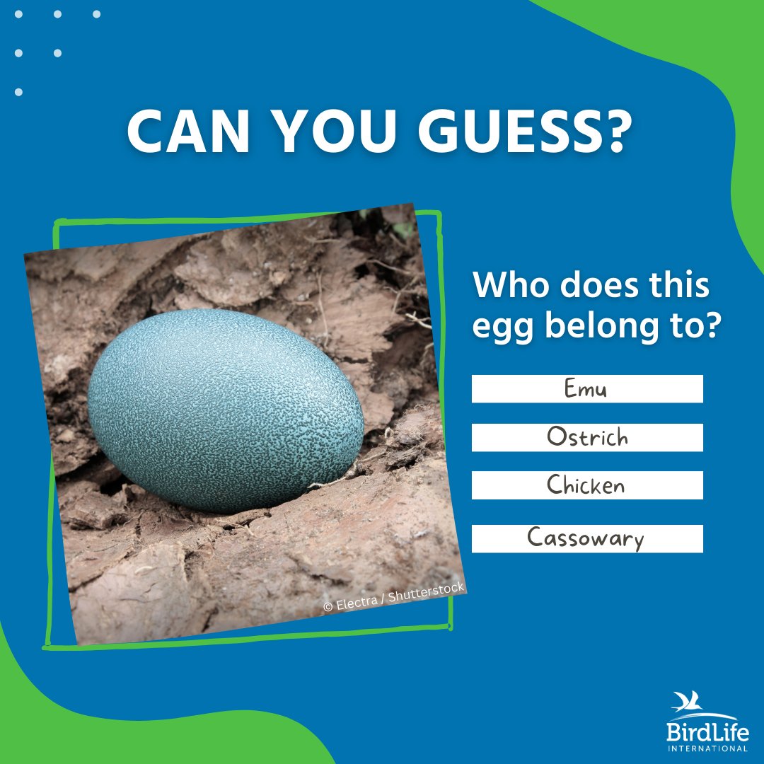 🐣 Happy Easter Sunday! 🌼 Today, we’re celebrating the vibrant season of renewal in the northern hemisphere with a special Easter egg challenge! 🔍How to participate: 1️⃣ Take a close look at the egg featured in our graphic. 2️⃣ Use your knowledge or do a little research. 3️⃣