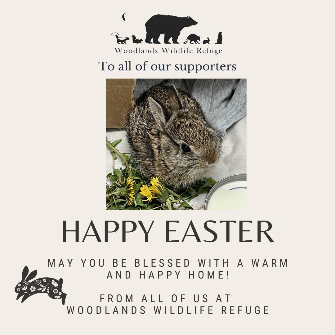Happy Easter from all of us at Woodlands Wildlife Refuge! Wishing you a happy, heartwarming holiday.