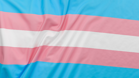 Today on #InternationalTransgenderDayofVisibility we celebrate our trans and non-binary communities, and recognise the discrimination still faced by trans people worldwide. In Camden our diversity is our strength and we're proud of our rich LGBTQ+ history🏳️‍⚧️
