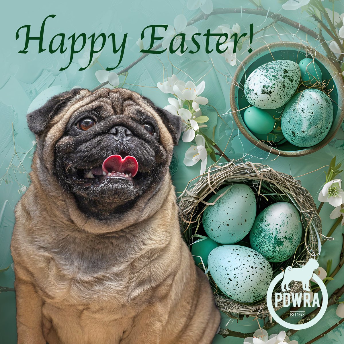 Wishing everyone a very Happy Easter, filled with lots of pug love & hugs!
ecs.page.link/shjGW
#pdwra #pugcharity #pugwelfare #friendsofwelfare #easter #pug #pugs #instapugs #pugsofinstagram