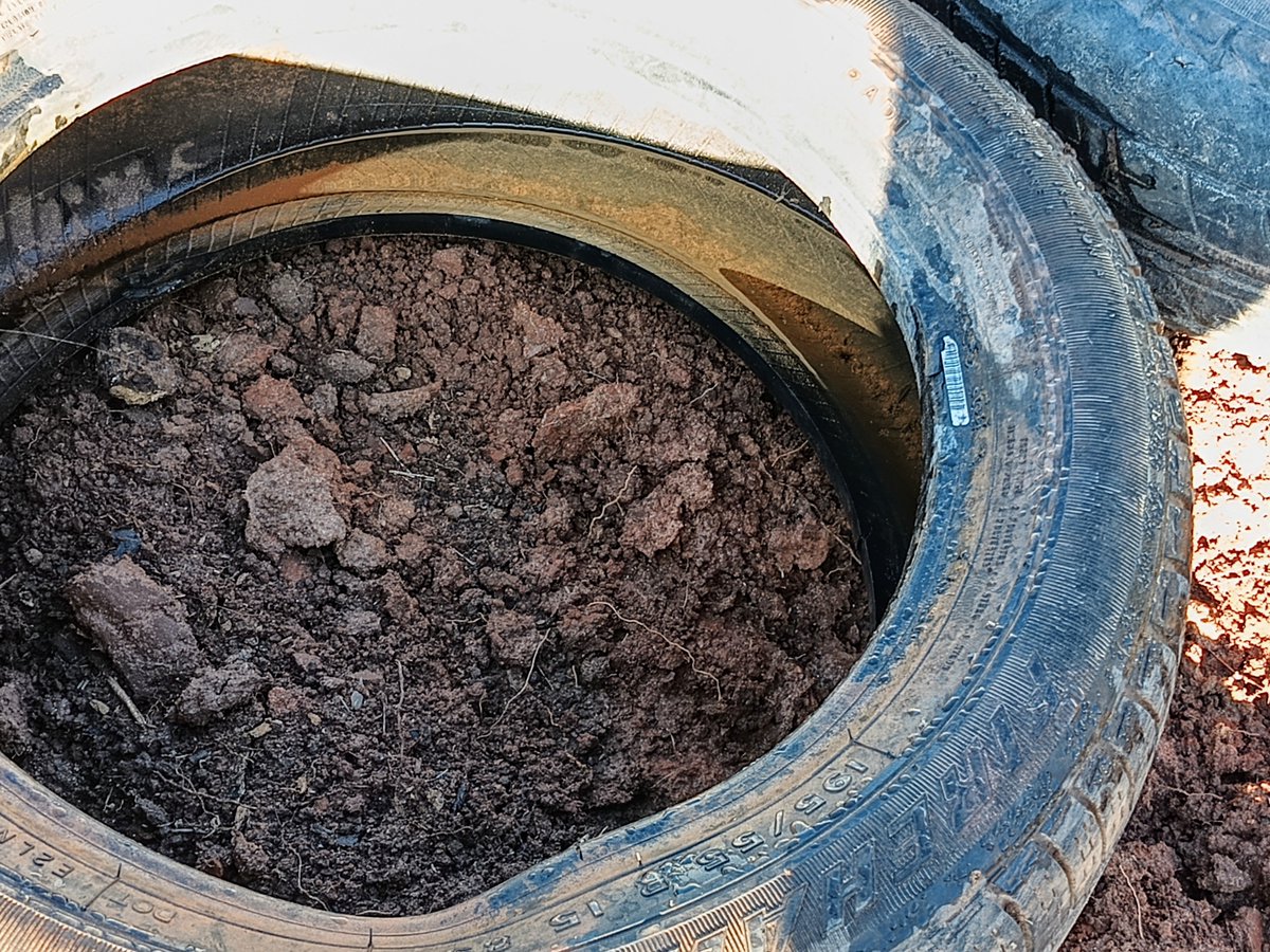 RTrentini's tweet photo. Nossos parabéns à Prefeitura de Várzea Paulista! No auge da epidemia da dengue, eles deixam pneus em via pública acumulando água! https://t.co/5mQsxSAvra