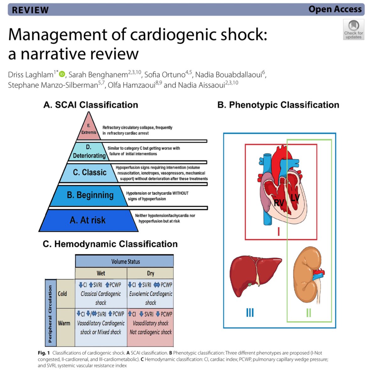There are numerous ways to classify cardiogenic shock. The key point is identify it in the first place. The pendulum has swung to where any lactate elevation is sepsis and given fluid boluses to the detriment of the patient. 🎩 tip to the authors. 

eddyjoemd.com/foamed/