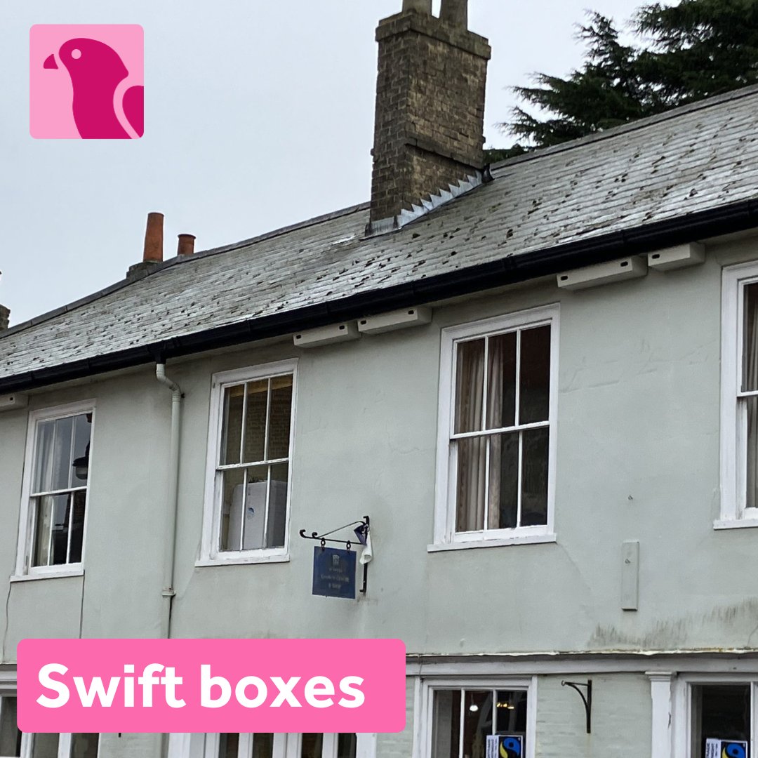 This year, the National Landscape has funded community sets of swift nest boxes at schools in Reydon, Carlton Colville and Rendlesham, plus boxes at Foxborough Farm 🏡 Lots of exciting swift work is taking place in Woodbridge 🐤 Find out more 👉 ow.ly/yEhy50QWSpB