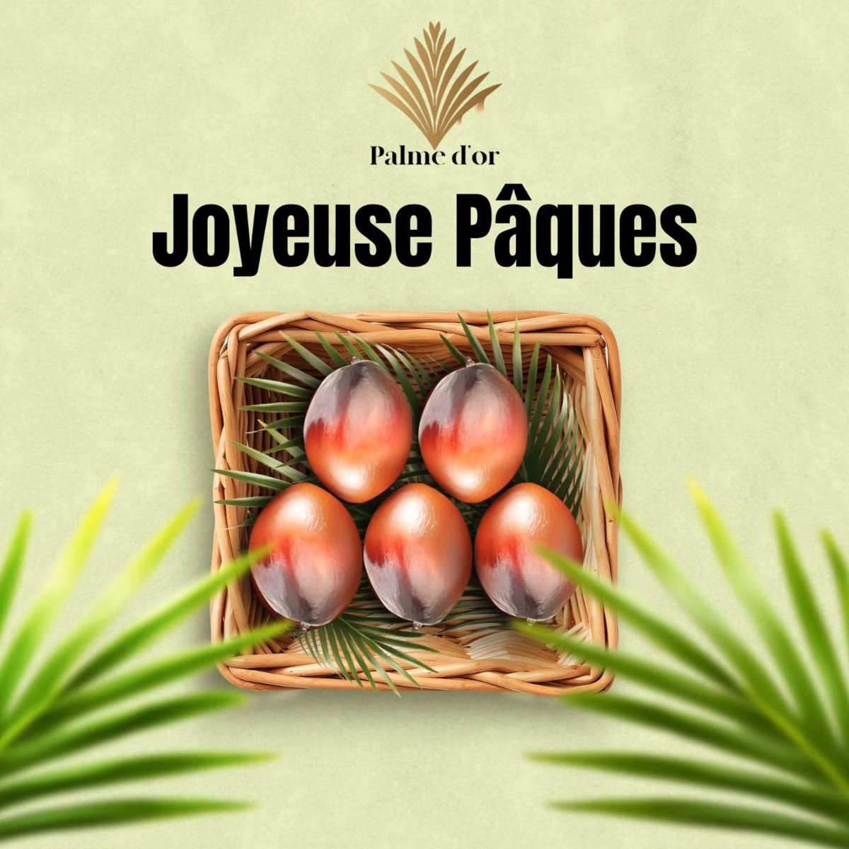 Que cette fête de Pâques soit remplie de bonheur et de joie🐣

#PalmeDor #PalmOil #centrafrique