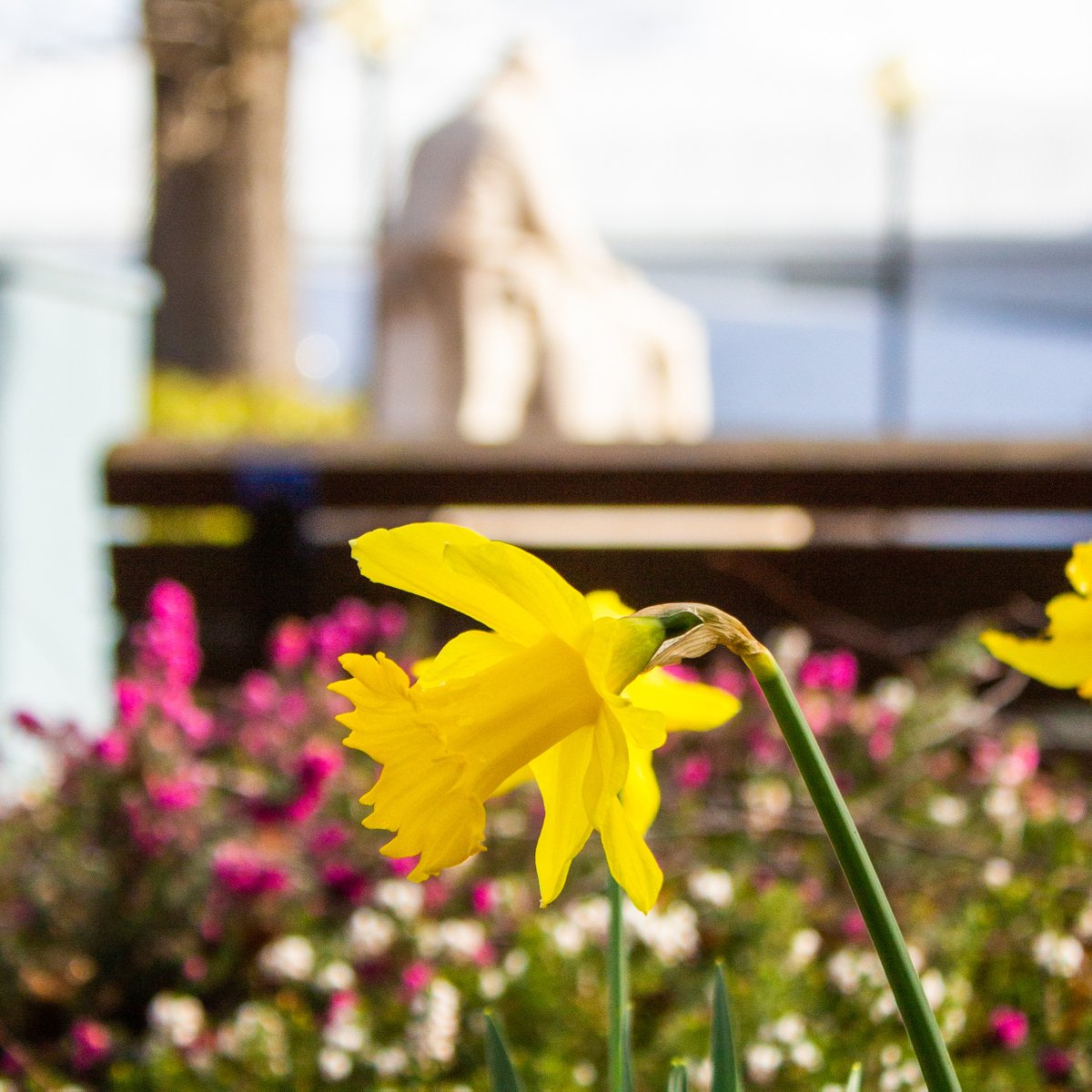 Heriot-Watt University wants to wish all our alumni, staff, and students a Happy Easter. 🐣 We hope you have a lovely weekend. 🙌 #HeriotWattUni #OneWatt