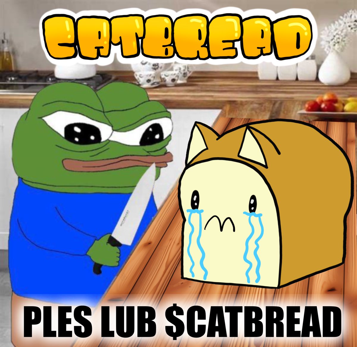 SolanaCatBread's tweet photo. look out you frogs its cat season, just love CatBread https://t.co/K48KAHRqqE