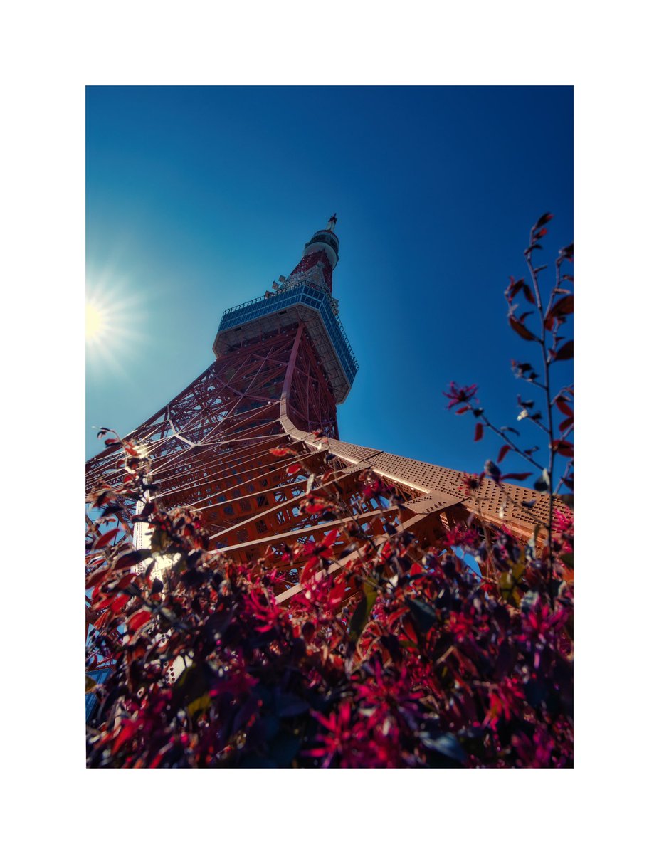 travel_w_lenses's tweet image. 📍Tokyo, Japan

Walking around Tokyo during the Spring of 2023. It was a long walk from Tokyo Tower to Shinjuku Gyoen National Garden.

Which one is your favourite photo?

#springintokyo #coloursofspringcontest #travelwithlenses #tokyostreets #visittokyo #1x #travelphoto