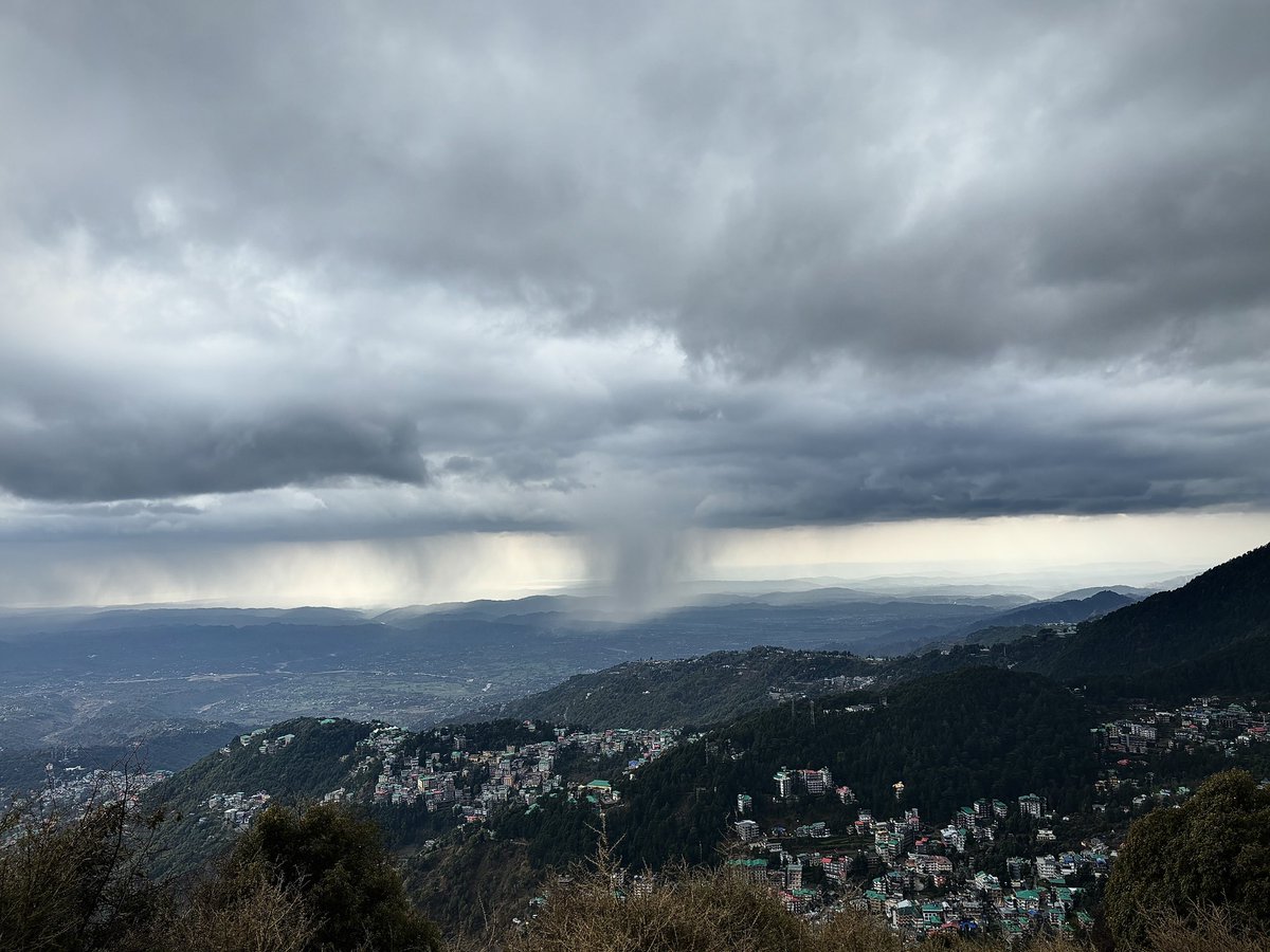 maridul.shori tweet media