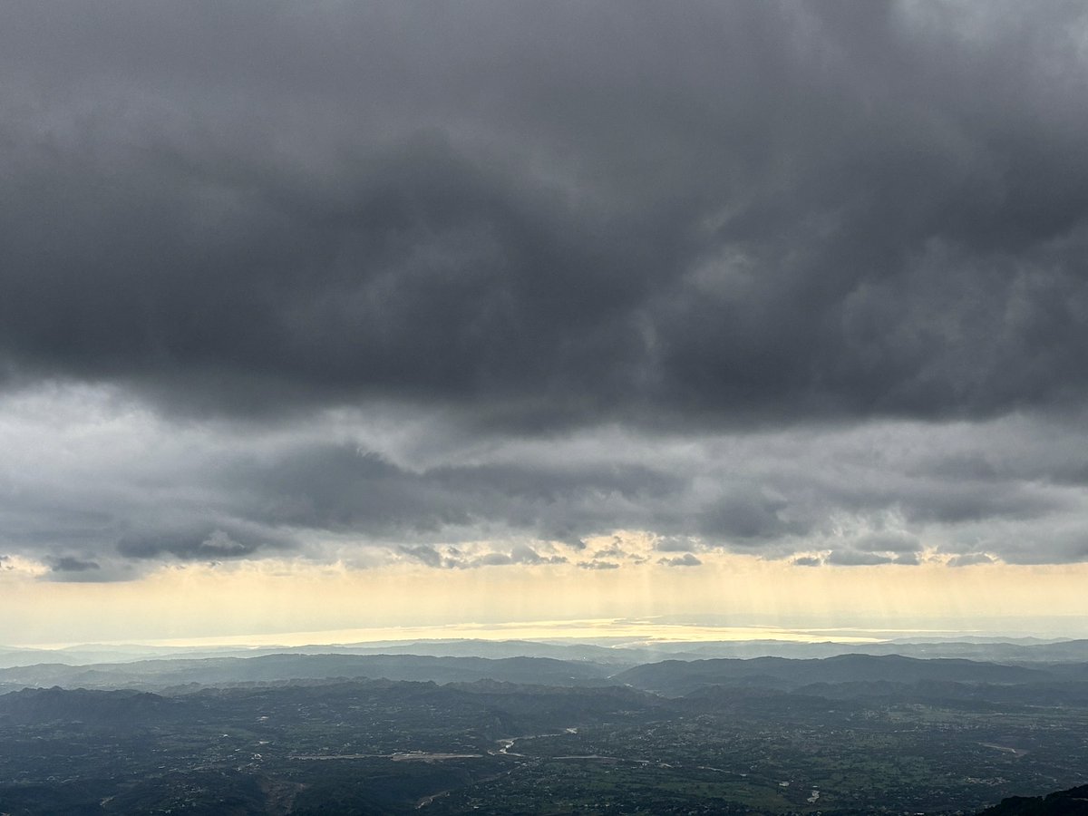 maridul.shori tweet media