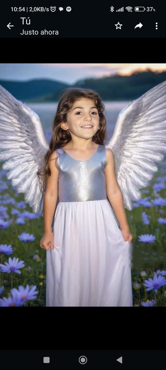 🦋Princesita Celia , te nombramos los que en tus ochos años de vida te quisimos y adoramos, desde el 31 de marzo de 2012 te añoramos y  ahora en la eternidad siempre te recordamos 🦋te quiero más infinito 🦋