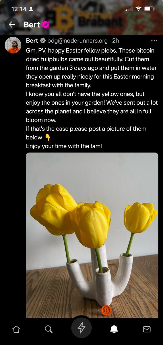 BloemBitcoin's tweet photo. Happy Easter everyone. Please make sure you post your bitcoin grown tulip 🌷. https://t.co/fS3PQZiIHv