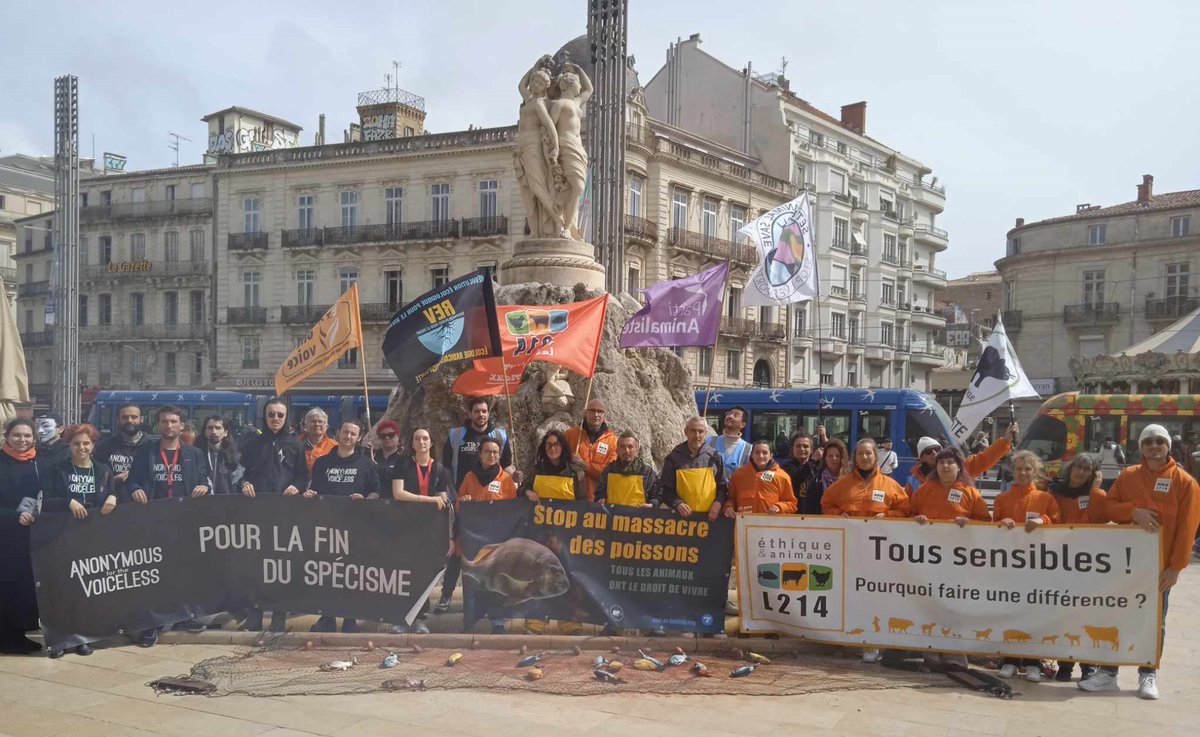 AllianceEthique's tweet image. Hier, pour la #JournéeMondialepourlaFindelaPêche, ns étions tous unis sur La Comédie #Montpellier, pour rendre visibles les invisibles, ceux qu'on n'entend pas crier, massacrés par milliards dans l'indifférence ! 
#StopPêche #Wodef #JMFP #SouffranceAnimale #seaspiracy #specisme