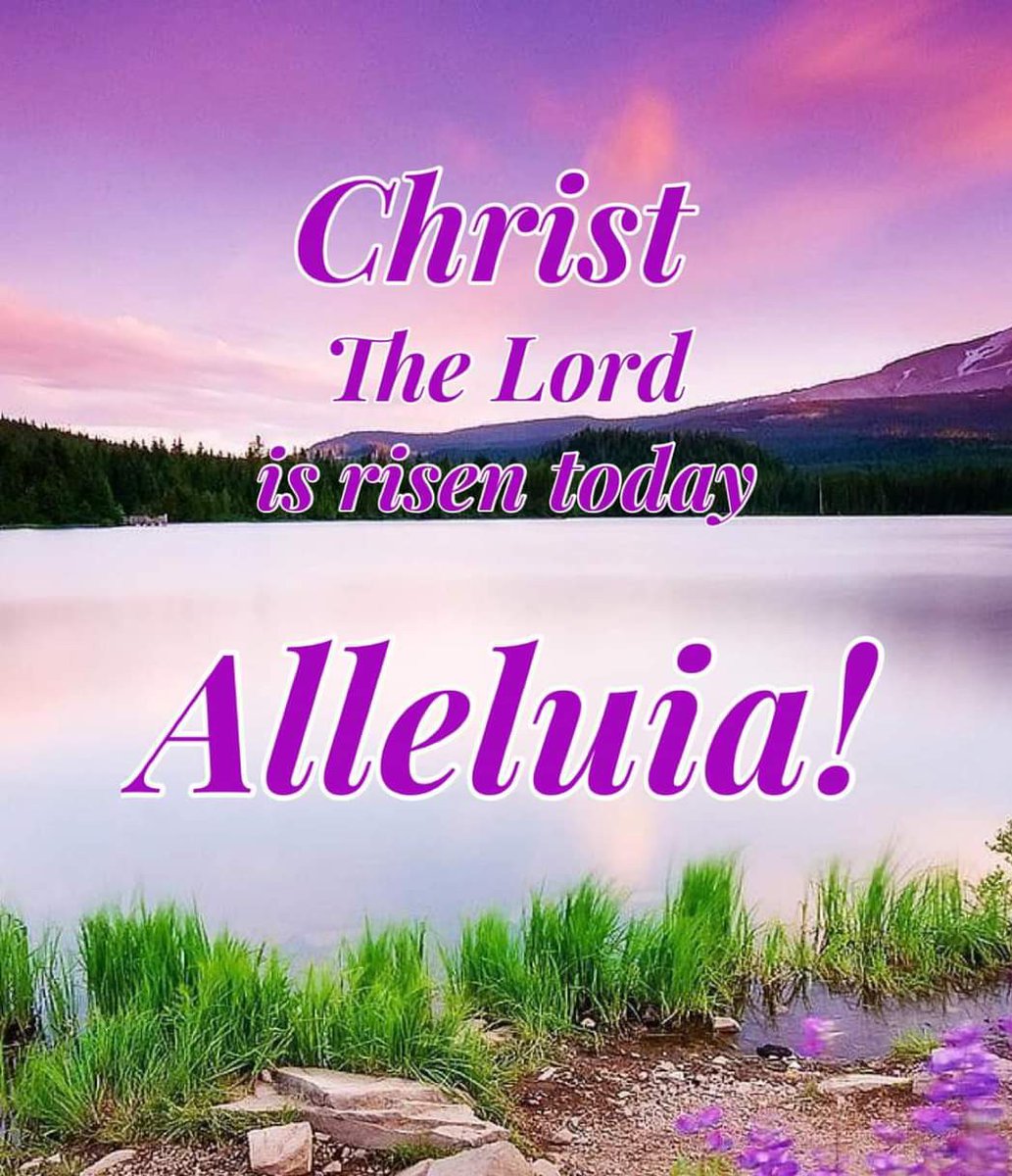 MrsCook91's tweet image. 