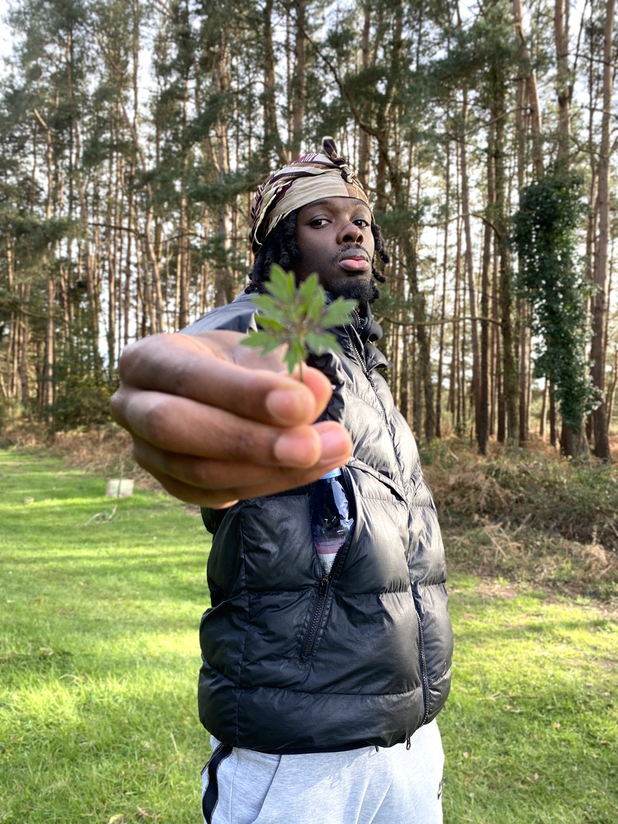 Dré Guevara 🥋 tweet media