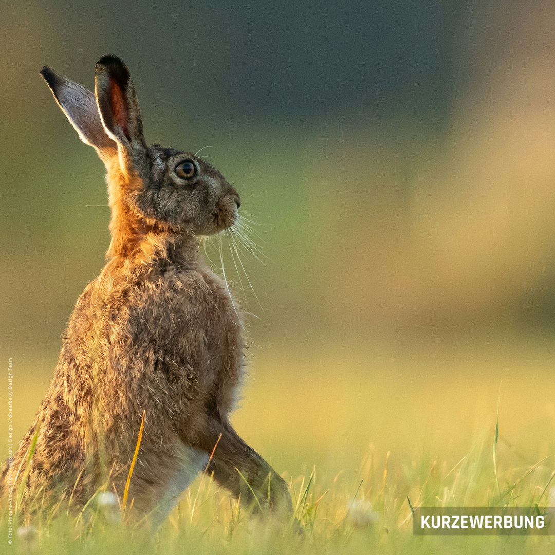 ERWARTUNG

Hoffnung heißt nicht Blindheit. Mit Umsicht, Einsicht und mutigem Blick in die Zukunft finden sich neue Wege. Mit geschärftem Blick und Mut erhellt sich die Perspektive.

Das Team von KURZEWERBUNG wünscht von ganzem Herzen Frohe Ostern.

#kurzewerbung #ostern