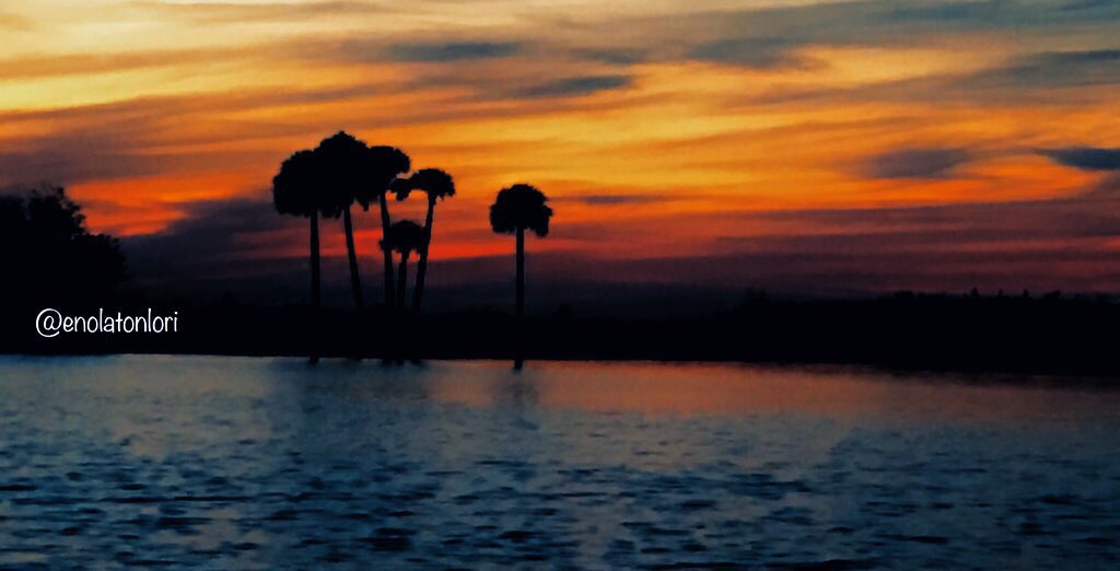 apricot sunrise
mercy sweeps the horizon
grief and joy collide

#haiku