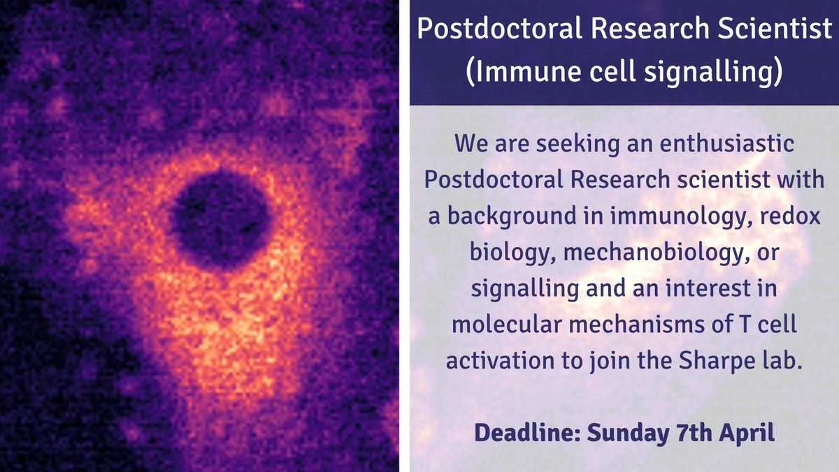 CLOSING SOON: Postdoctoral Research Scientist
If you have a passion for immunology, redox biology, mechanobiology, or signalling, this could be the perfect opportunity for you! 

Deadline: 7th April babrahaminstitute.livevacancies.co.uk/#/job/details/…