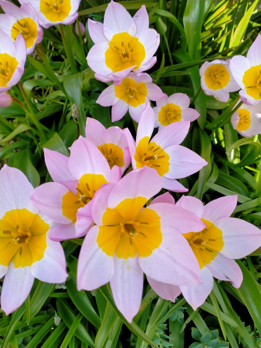 Oxford yesterday. Great go visit the Story Museum and revisit the botanical gardens! It's a really lovely city and great for multiple day trips