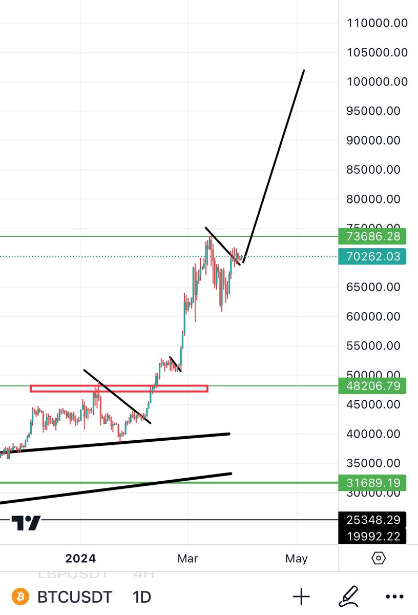 Bitcoinhabebe tweet picture