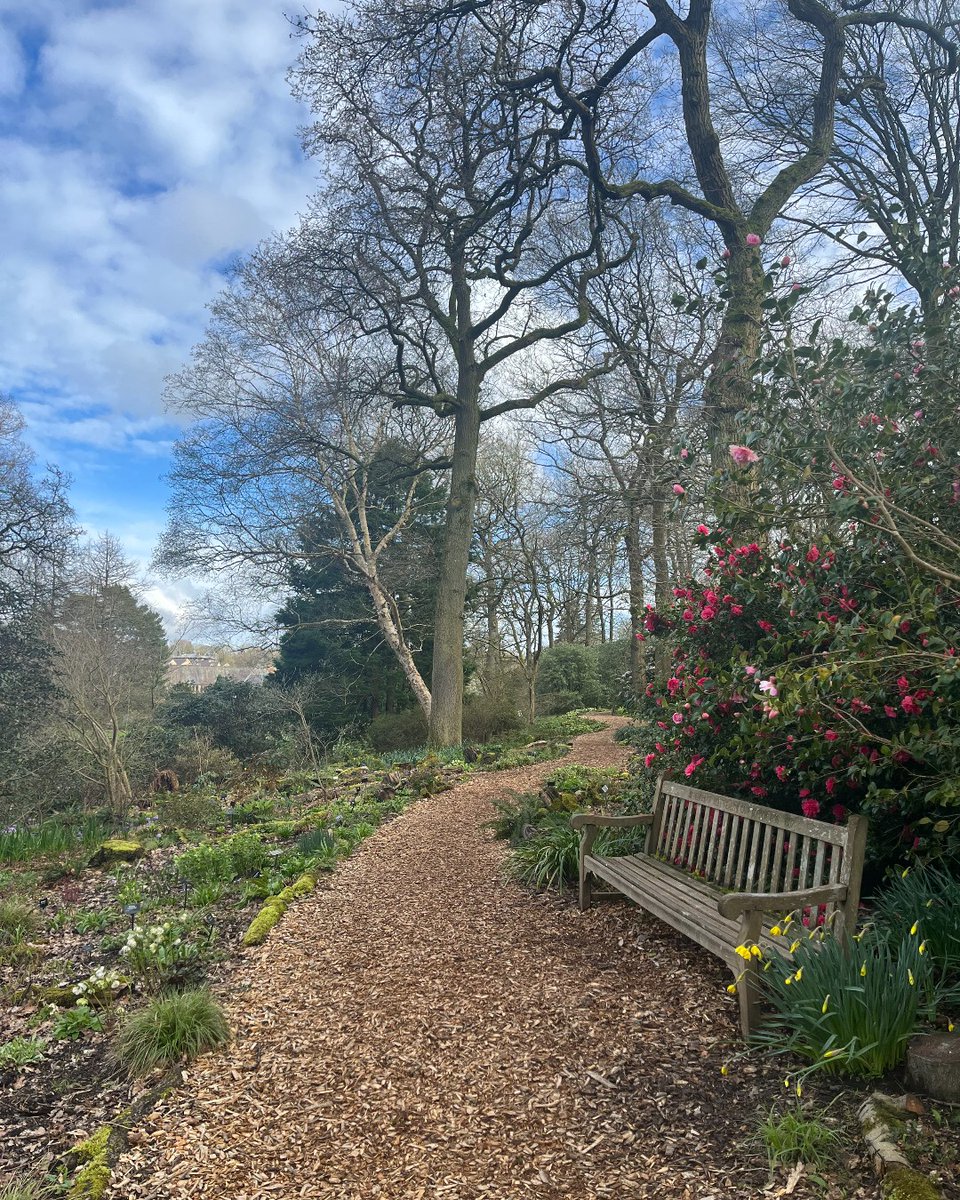 Wishing you all a very happy Easter from all the team at RHS Garden Harlow Carr. #RHSHarlowCarr #HarlowCarr #Spring #Rhododendron #Woodland #Camellia #GiantEasterEggHunt #Easter