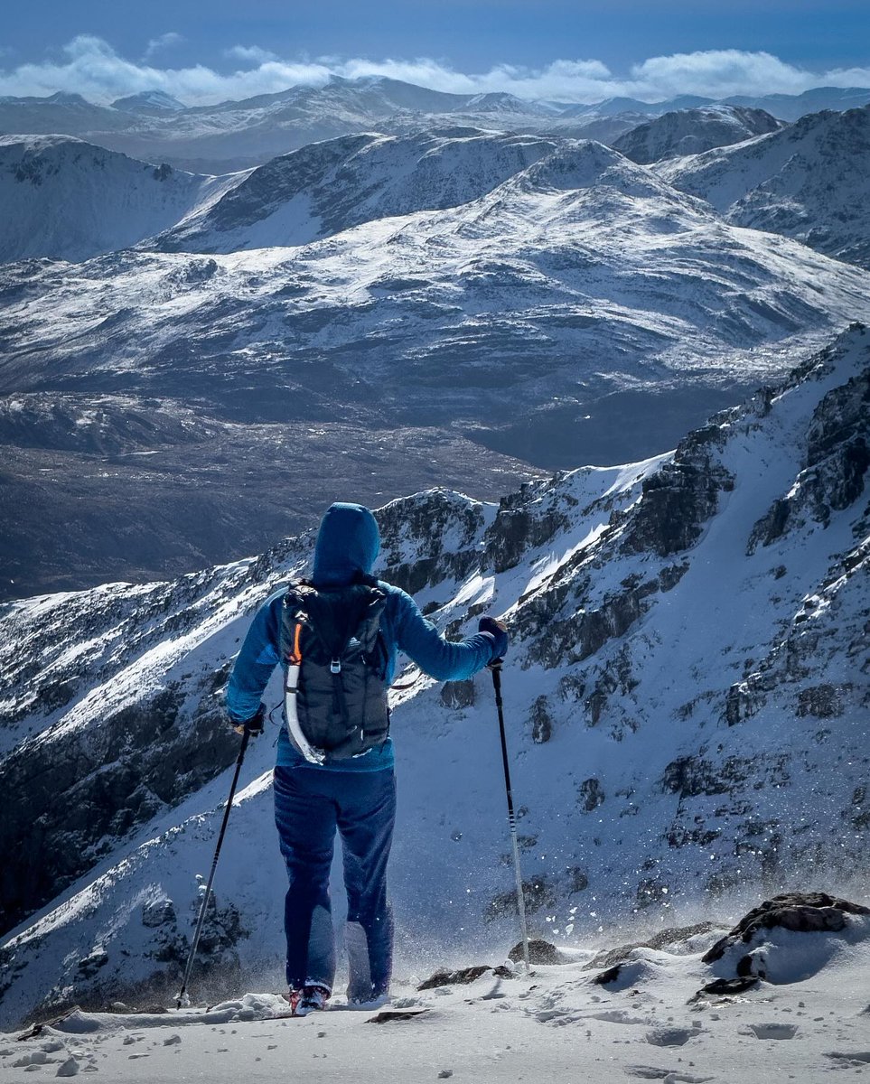 WildBounds tweet media