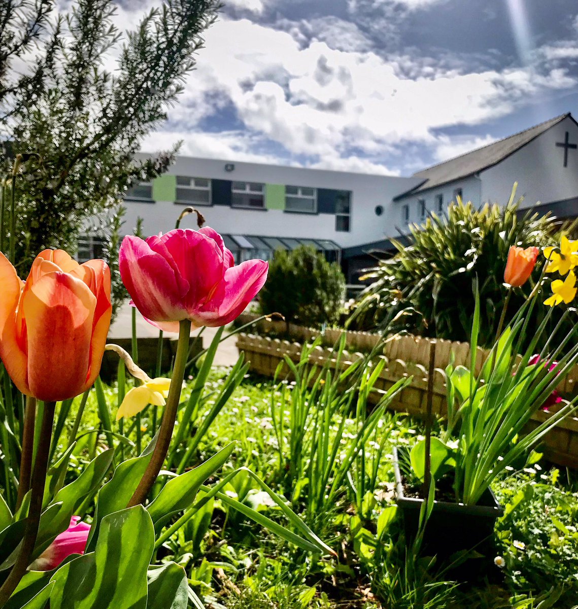 Collège Sainte-Marie GUILERS (@stemarieguilers) on Twitter photo 