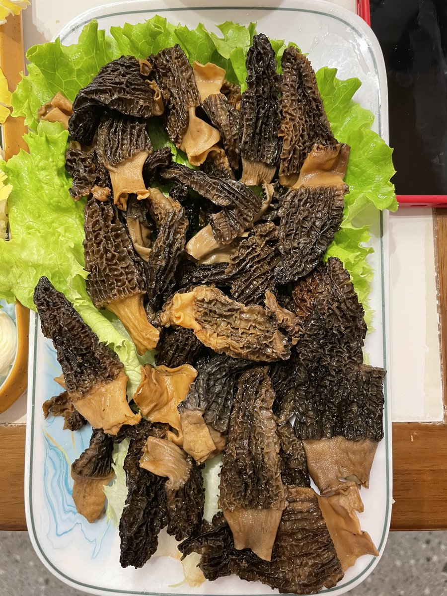 Yunnan morels