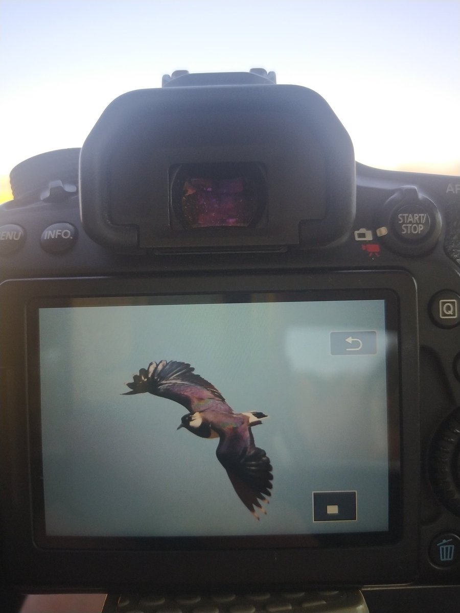 Uzun zaman sonra kuşa çıkıldı.