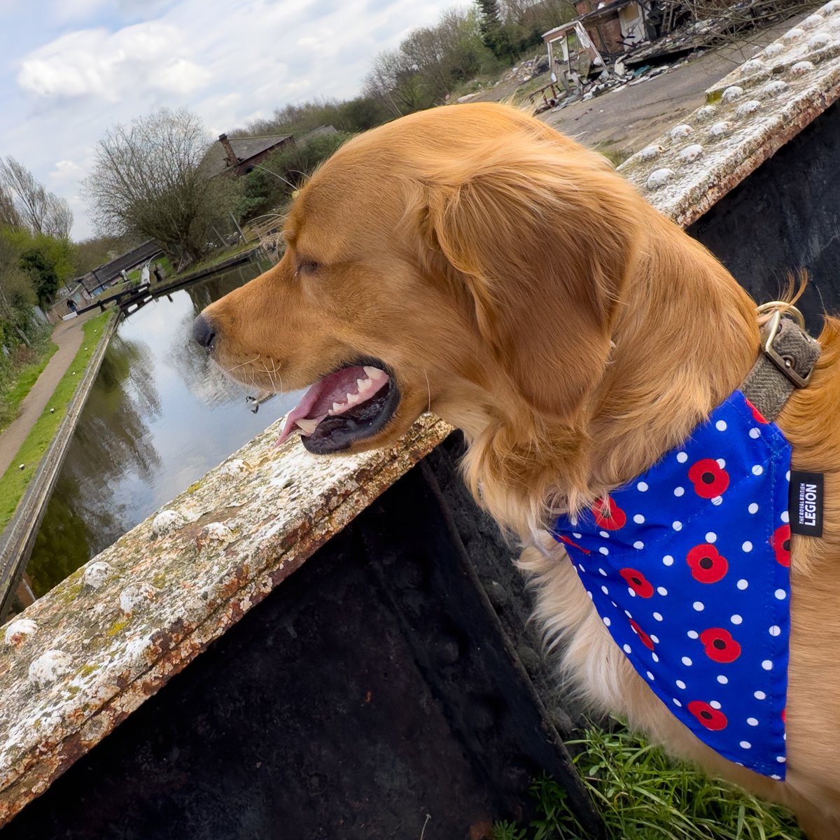 Finlay's first fundraiser page is up, he's walking 100km next month for #RoyalBritishLegion, that's 62 miles or 2 miles a day. #BoatsThatTweet #LifesBetterByWater #TowpathWalks #CharityWalks #Fundraising #RedMoonshine @CanalRiverTrust  Find his page at moonsh.in/walk