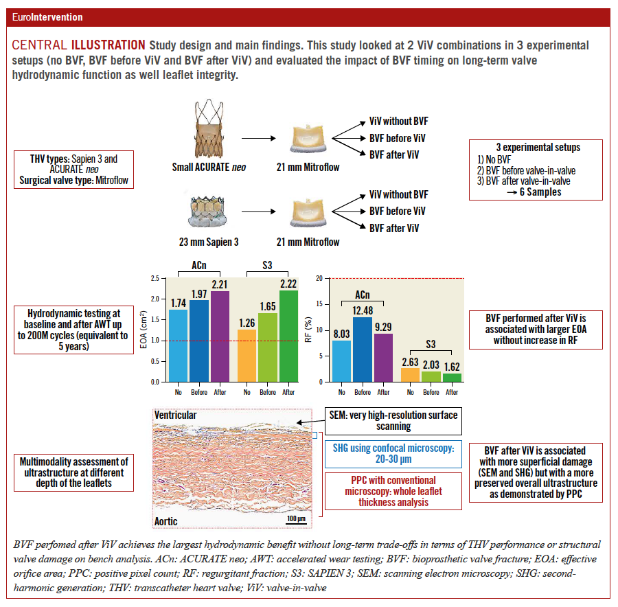 This study focused on the impact of the timing of bioprosthetic valve fracture (BVF) on the long-term outcomes of THVs, specifically the ACURATE neo and the 23 mm SAPIEN 3, deployed in 21 mm Mitroflow surgical valves. Results showed that BVF performed after ViV TAVI presented