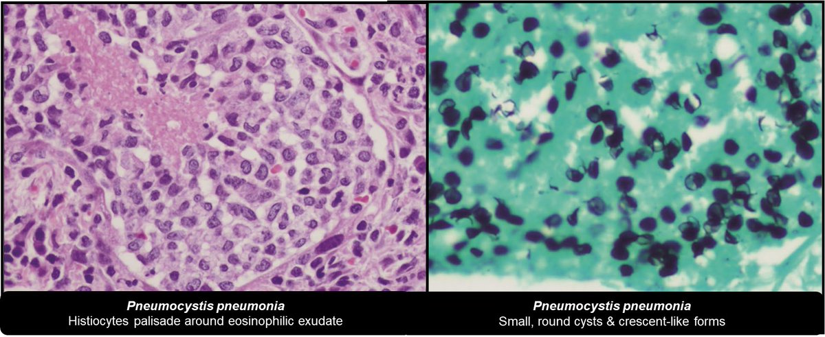 DrCycloPath tweet picture