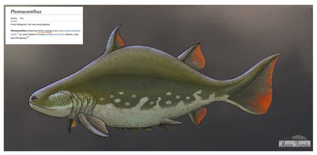 Another fish, because why not. Ptomacanthus was a Devonian freshwater fish very distantly related to today’s sharks, rays and chimaeras. These animals possibly had a decent color vision, later lost in the shark lineage, and thus could have been colorful.