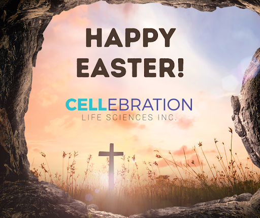 cellebrationsci's tweet photo. Cellebration Life Sciences wishes you all the happiness on this spiritual holiday! Happy Easter from our team.  

#HappyEaster https://t.co/ZjnATbMuHF