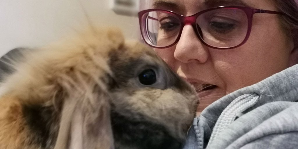 'I love Easter, it puts a real spring in my hop!' Binky the bunny lives with Caroline in Selkirk. For Easter, why not revisit our special interview with Binky, on living with an owner who has MS? brnw.ch/21wInwI