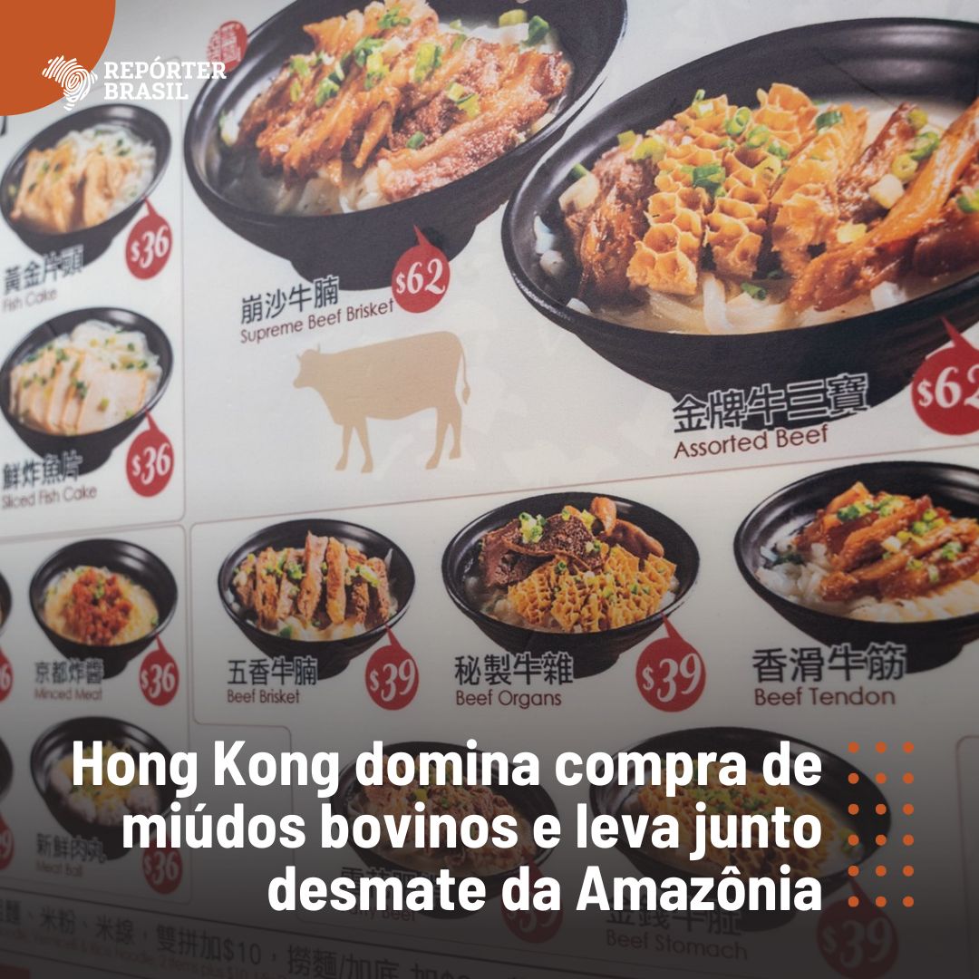 📢Investigação da Repórter Brasil e do jornal Hong Kong Free Press rastreou a carne que chega à Hong Kong e descobriu que empresas importaram miúdos bovinos de frigorífico abastecido pelo maior desmatador da Amazônia. 🔗bit.ly/miudoshongkong
