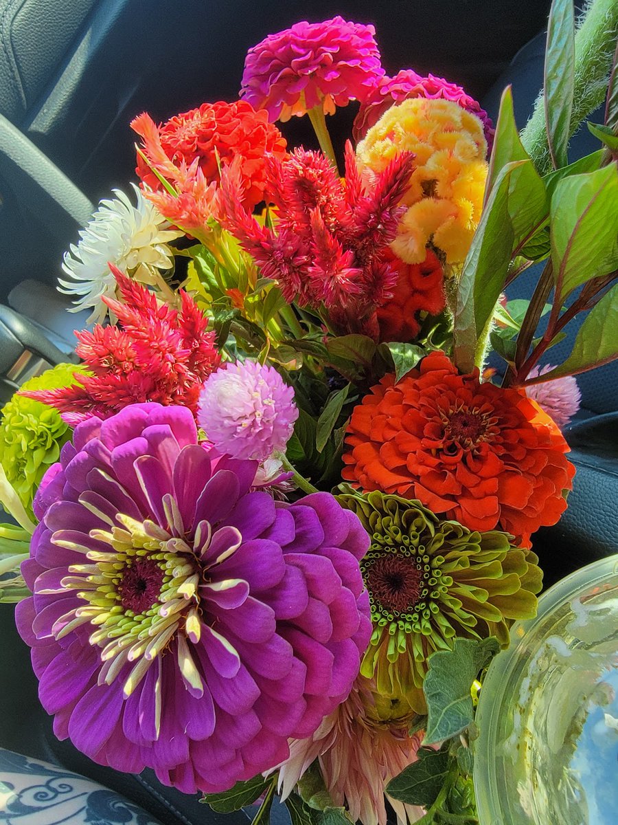 New town every hour tweet media