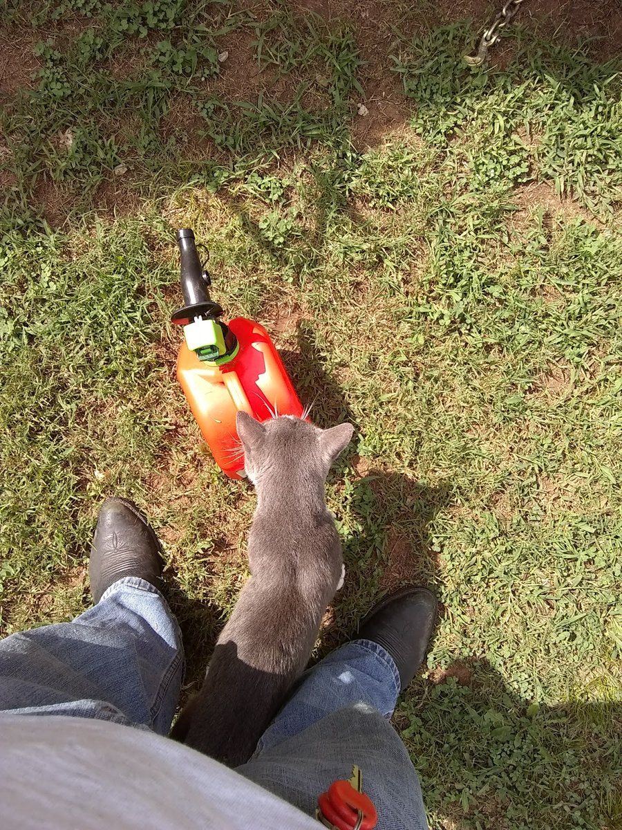 New town every hour tweet media