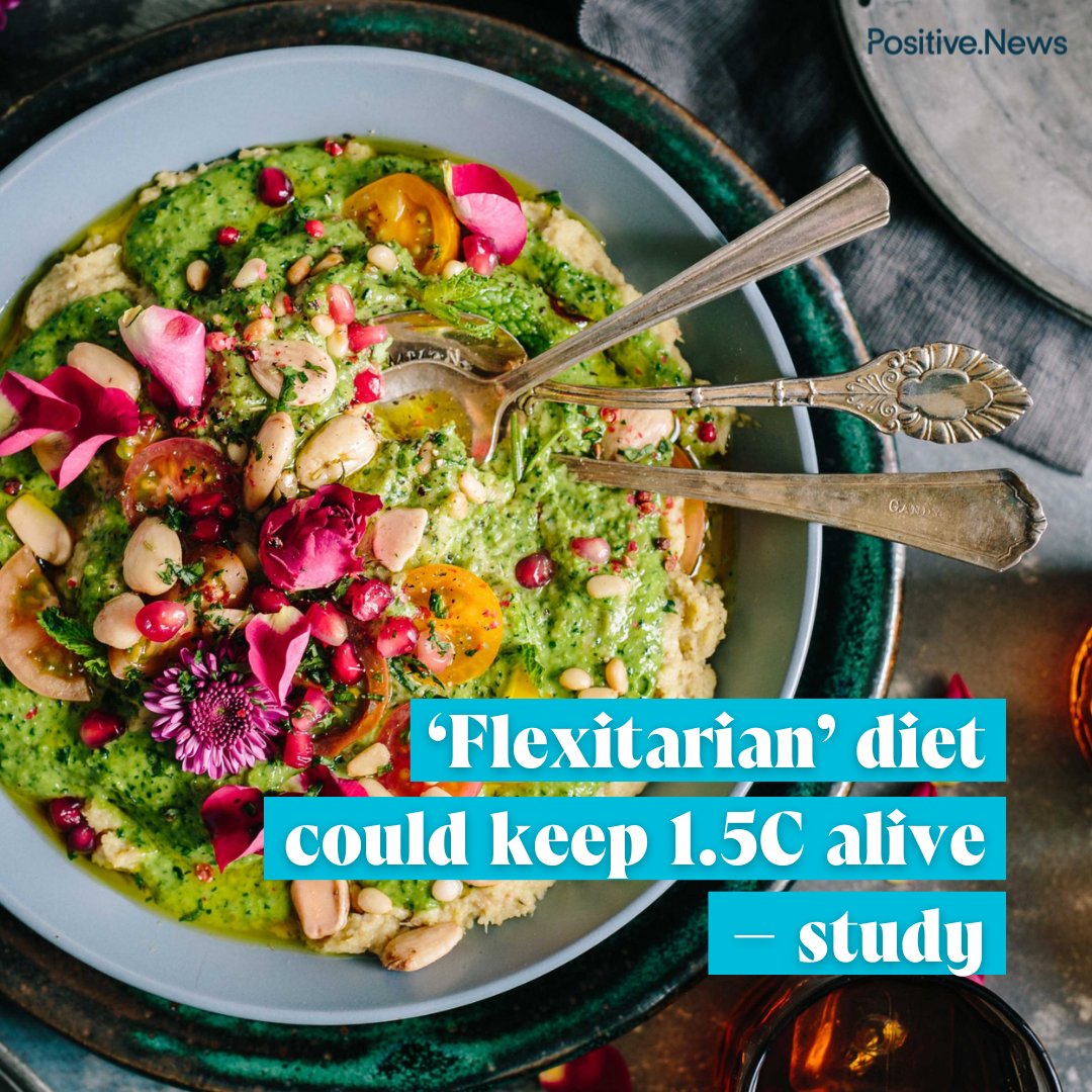The mass adoption of a plant-based ‘flexitarian’ diet could help limit global warming, a study by the Potsdam Institute for Climate Impact Research suggests.

Read more on this story, and find out what else went right this week: positive.news/society/good-n…