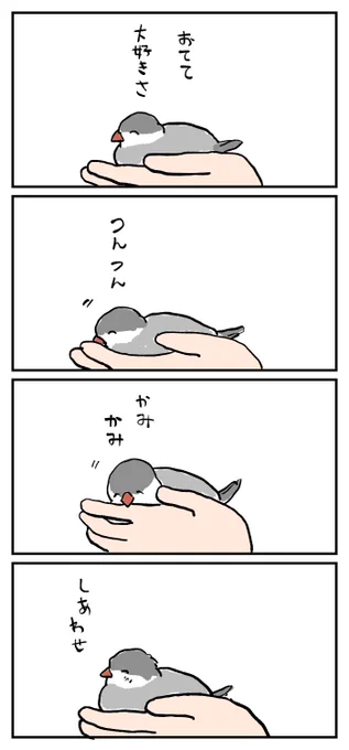 文鳥さんは手が好き 