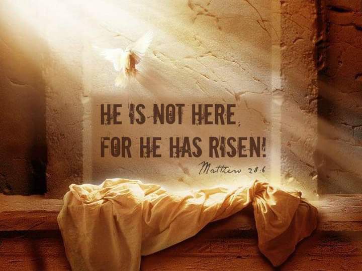 Good morning. Happy Easter, be safe. 💙🙏🕊🌞