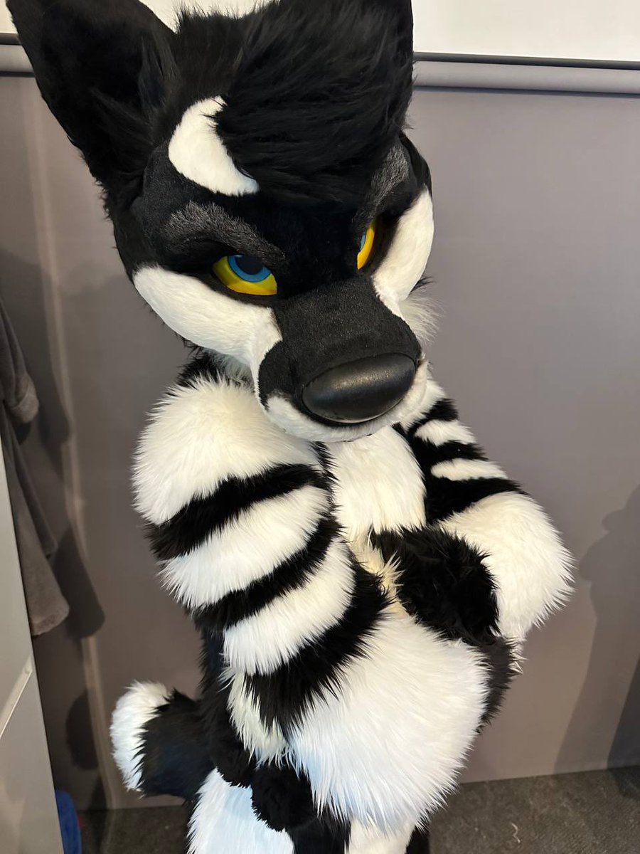 Where’d ya think your going? 😏
📸:<a href="/KoviDeerDoge/">Kovi ^_−☆</a>