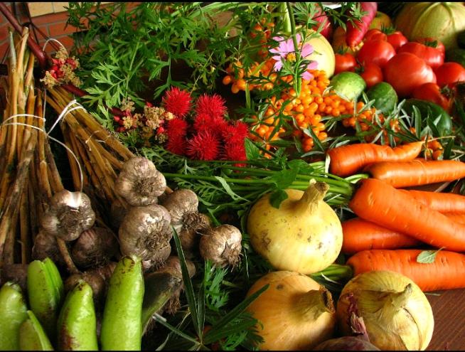 #Agriculture 
Manger bio, c'est pour notre bien-être. 
<a href="/EUAgri/">EU Agriculture🌱</a> <a href="/FAORDCongo/">FAO en République démocratique du Congo</a> <a href="/Min_Peche_Elvge/">MINISTÈRE DE PÊCHE ET ÉLEVAGE - RDC🇨🇩</a> <a href="/minagri_rdc/">Ministère de l'Agriculture et Sécurité Alimentaire</a> <a href="/Agriboost_info/">AGRIBOOST.INFO</a> @MAAARO <a href="/ACF_RDCongo/">Action contre la Faim RDC</a> @WFP_CERFAM @YaourtNutrition <a href="/BioAgroBusiness/">Bio Agro Business</a> <a href="/BASF_Agro_FR/">BASF Agro France</a> <a href="/WFP_FR/">PAM (WFP in French)</a> @maguy_mbuku <a href="/lionelkioni/">Lionel KIONI</a>