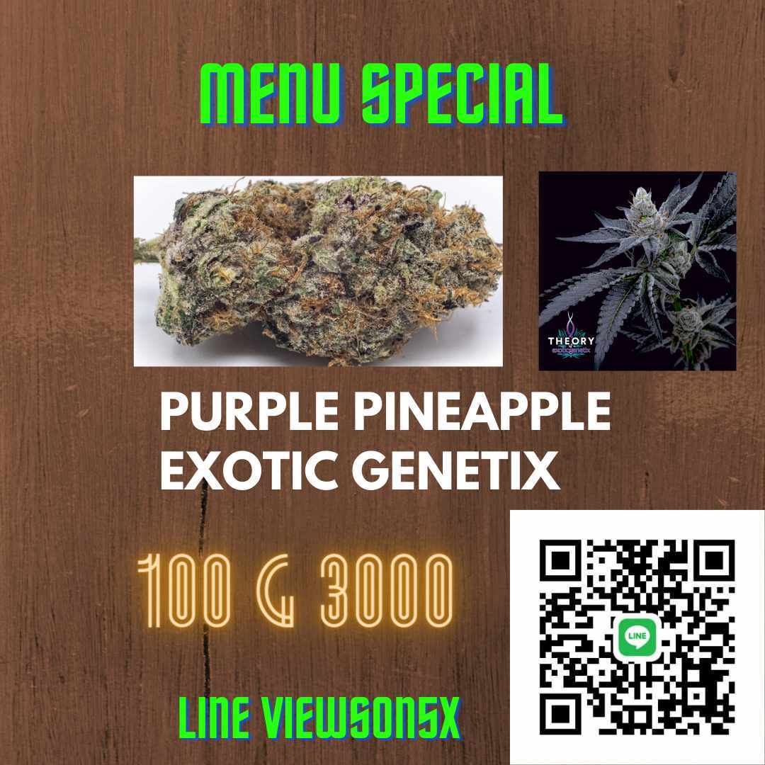 viewkim's tweet image. มาครับงานปลูกเองเริ่มต้น 30 บาท มีโปรครับ ส่งฟรีทั่วไทย line viewson5x
#กัญชา #กัญชาลำปาง #กัญชากทม #กัญชาราคาถูก #weed #หยิ่นวอร์ #brunomarsbkk2024 #งานบอลจุฬาธรรมศาสตร์ #yinyin_anw #natasitt #warwanarat