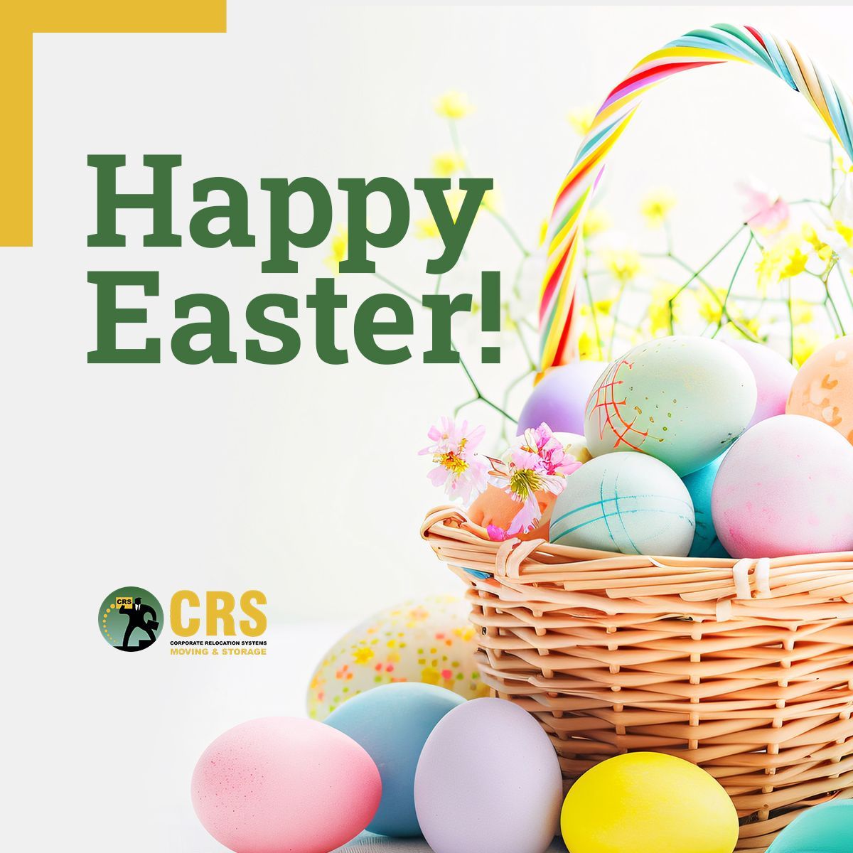 Happy Easter from CRS Moving & Storage💐🐣🐰 

#HappyEaster #OfficeLiquidation #OfficeStorage #OfficeMove #NYCMovers #CorporateMovers #NYCBusinessMovers #NYC #BusinessMovers #newyorkmovers #CRSmovers #CorporateMovingCompany #Relocation #OfficeRelocation